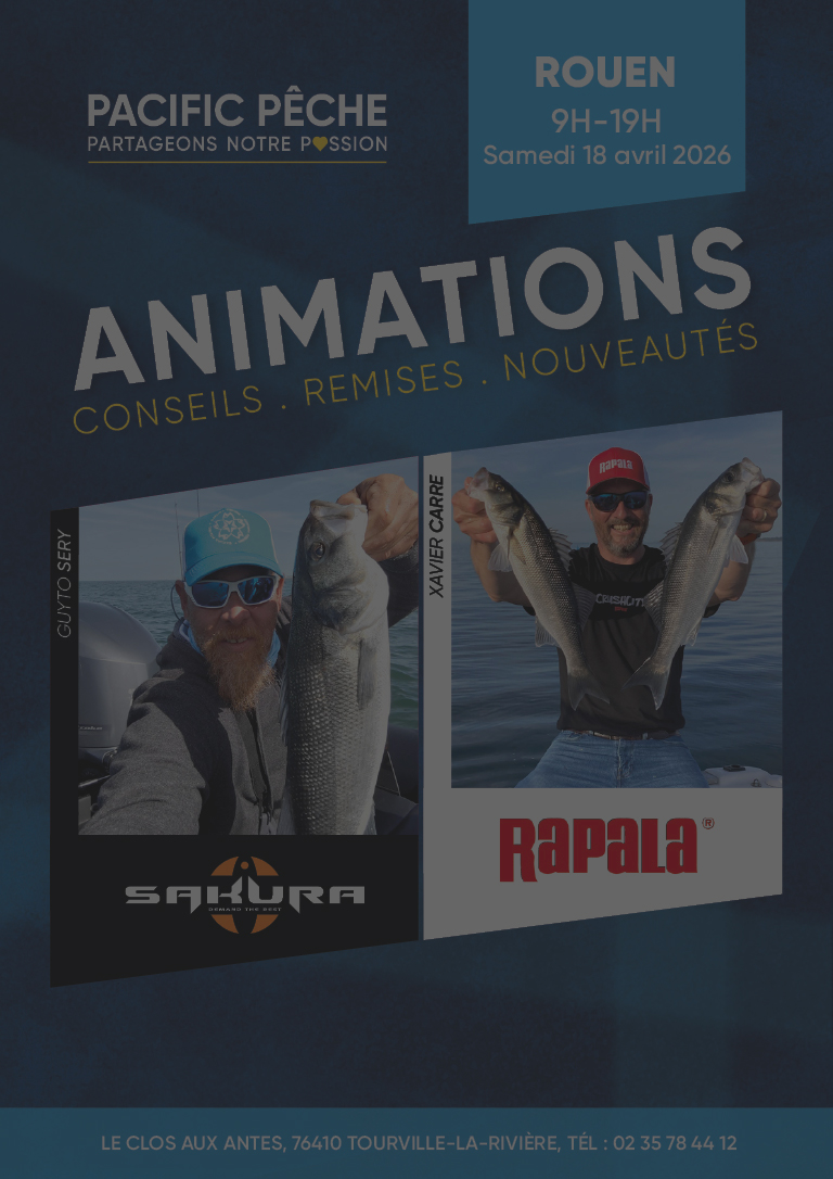 Animation Rouen
